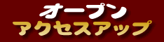 �A�_���g�E�o��n�̃A�N�Z�X�A�b�v�ɂ̓g���t�B�b�N�G�N�X�`�F���W�̃I�[�v���A�N�Z�X�A�b�v���I�X�X���ł��B